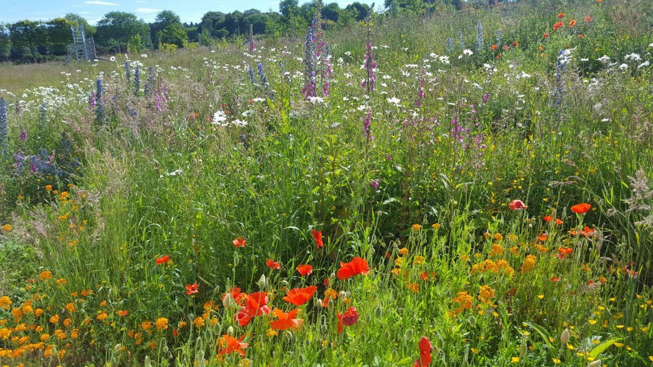 Wester Blackpark Farm Ίνβερνες Εξωτερικό φωτογραφία