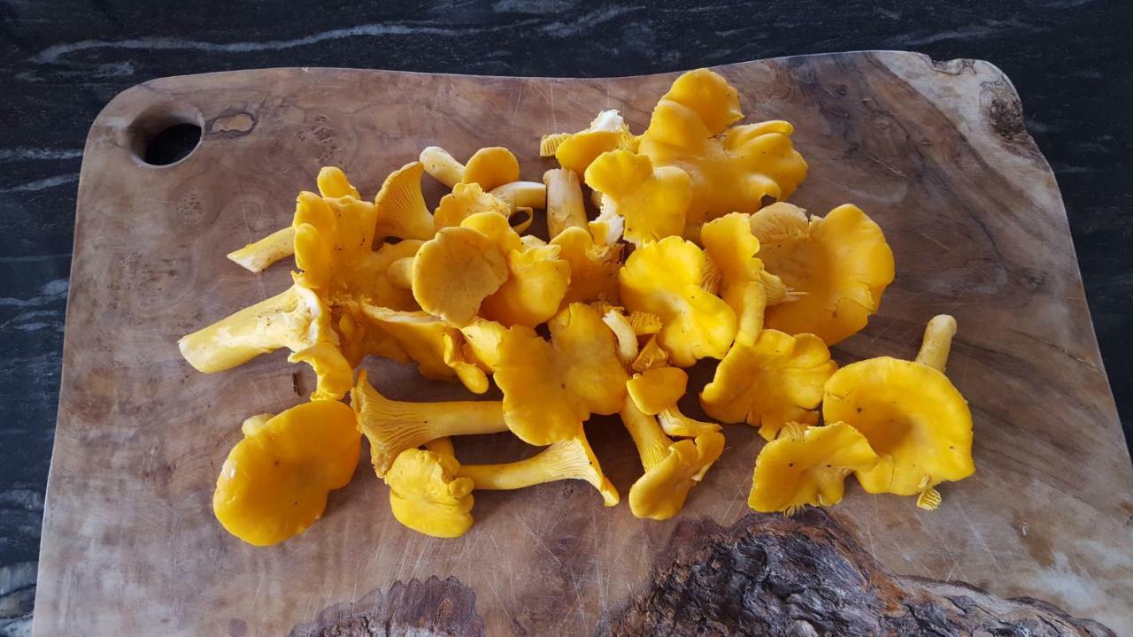 Wester Blackpark Farm Ίνβερνες Εξωτερικό φωτογραφία